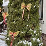 Guest house Girske Povitria *