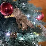 Girske Povitria Yaremche