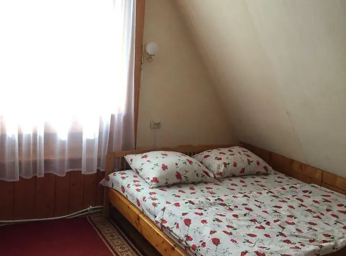 Гостевой дом Girske Povitria