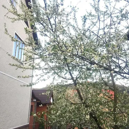 Гостевой дом Girske Povitria